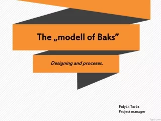The „modell of Baks”