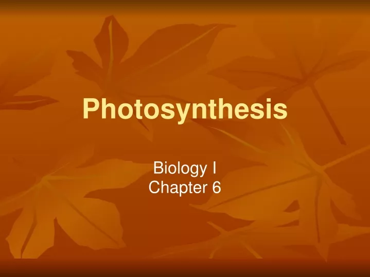 photosynthesis