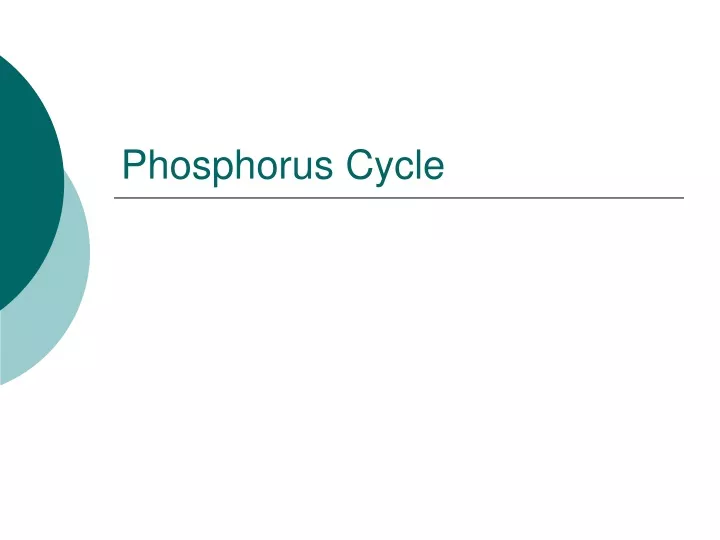 phosphorus cycle