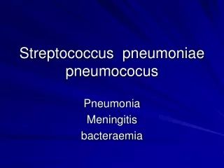 Streptococcus  pneumoniae pneumococus
