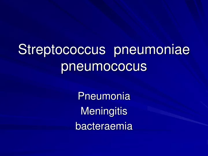 streptococcus pneumoniae pneumococus