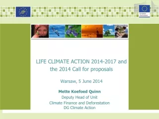 Mette Koefoed Quinn Deputy Head of Unit Climate Finance and Deforestation DG Climate Action