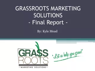 GRASSROOTS MARKETING SOLUTIONS - Final Report -