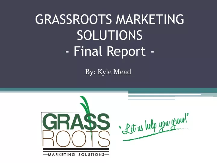 grassroots marketing solutions final report