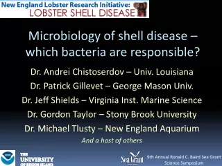 Microbiology of shell disease – which bacteria are responsible?