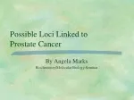 Possible Loci Linked to  Prostate Cancer - slide 1