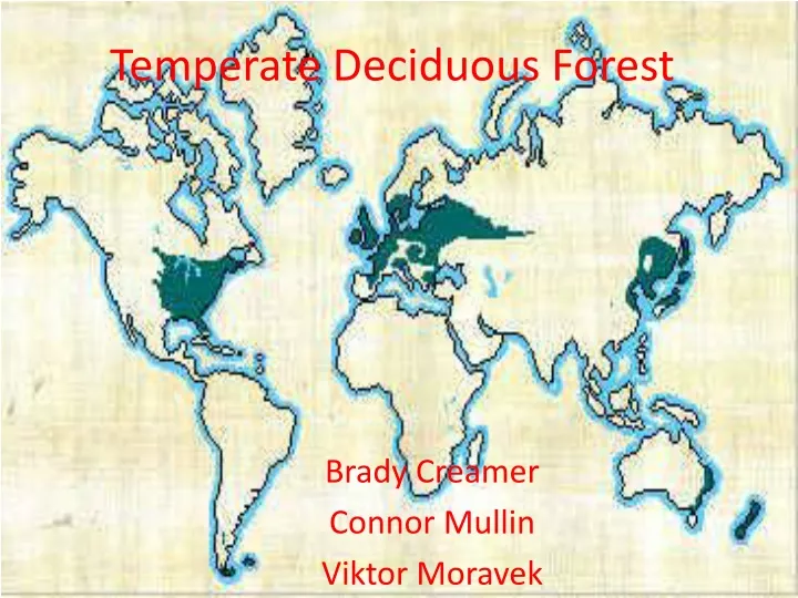 temperate deciduous forest