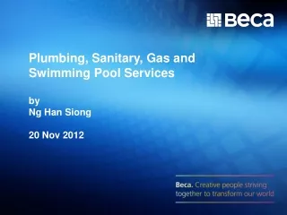 Plumbing, Sanitary, Gas and  Swimming Pool Services by Ng Han Siong 20 Nov 2012
