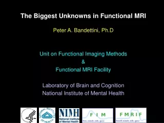 The Biggest Unknowns in Functional MRI