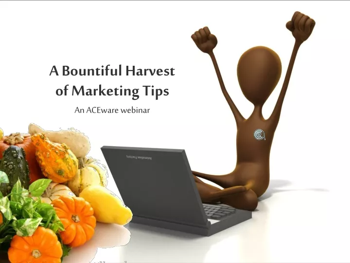 a bountiful harvest of marketing tips