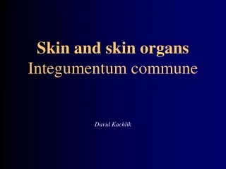 Skin and skin organs  Integumentum commune