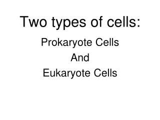 Two types of cells: