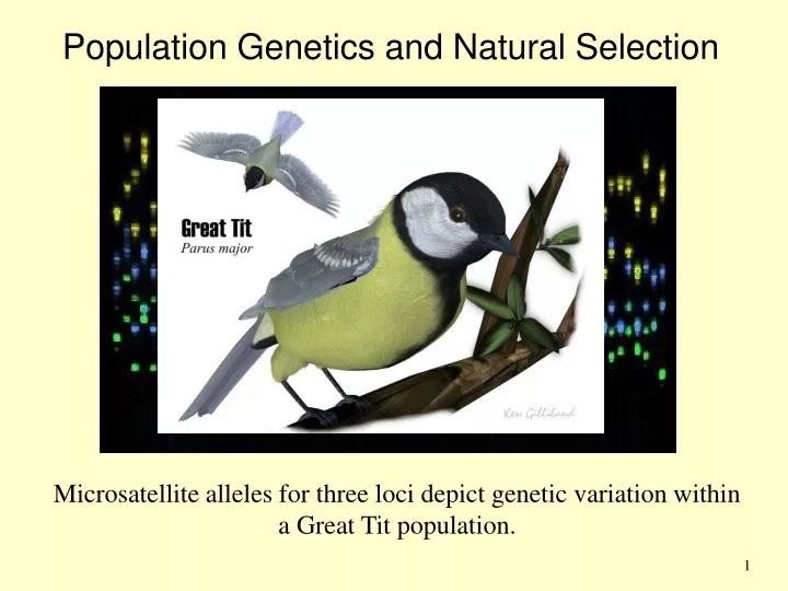 population genetics and natural selection