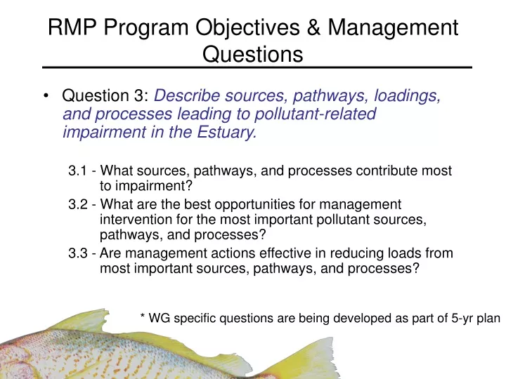 rmp program objectives management questions