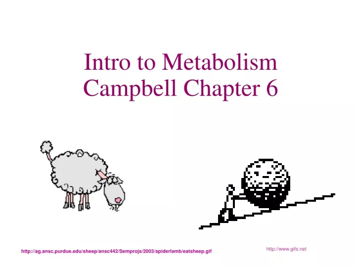 intro to metabolism campbell chapter 6