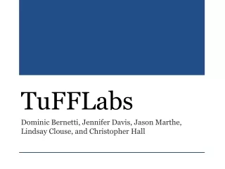 TuFFLabs