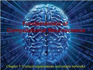 Chapter 5: Cortical organizations and simple networks