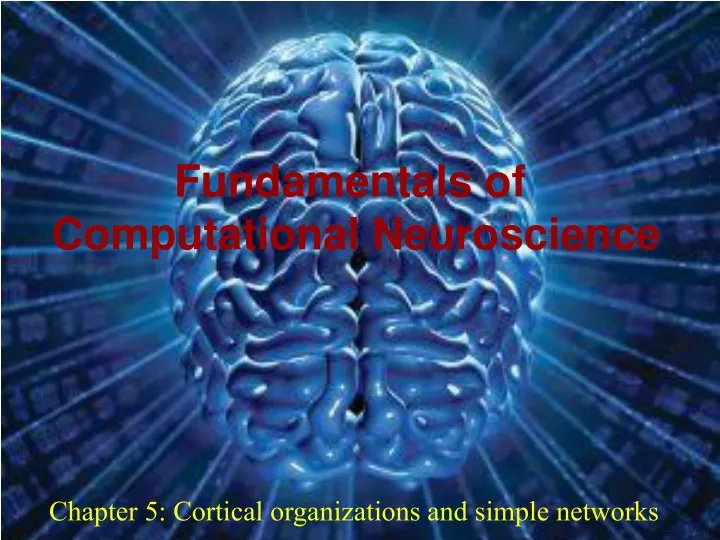 chapter 5 cortical organizations and simple networks