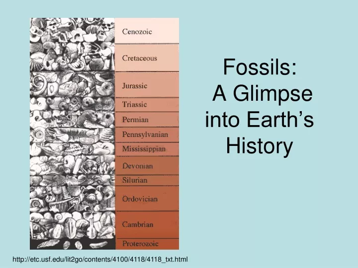 fossils a glimpse into earth s history