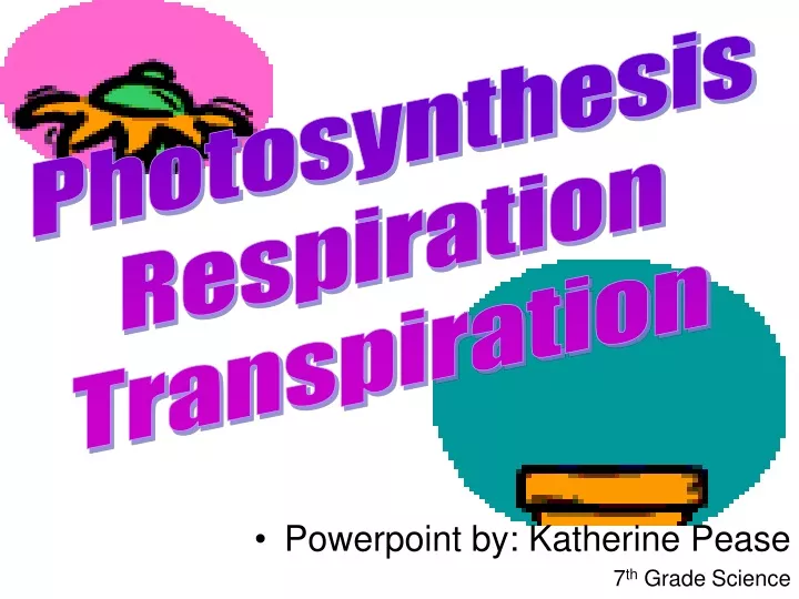 photosynthesis respiration transpiration