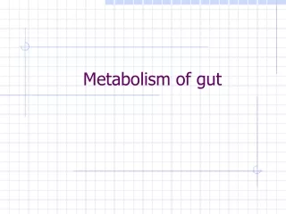 Metabolism of gut