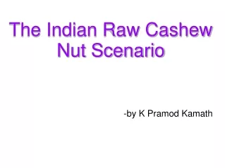 The Indian Raw Cashew Nut Scenario