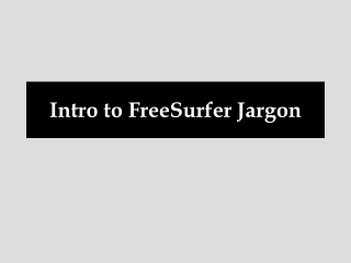 Intro to FreeSurfer Jargon