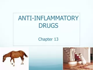 ANTI-INFLAMMATORY  DRUGS Chapter 13