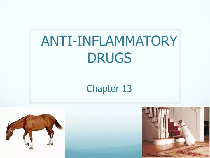 anti inflammatory drugs chapter 13