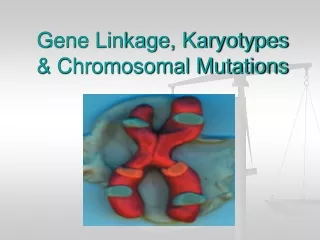 Gene Linkage, Karyotypes &amp; Chromosomal Mutations