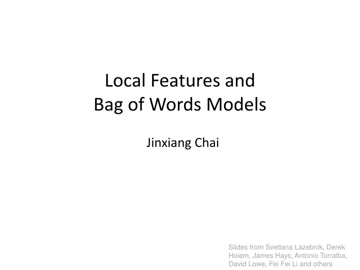 local features and bag of words models