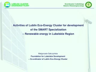 Activities of Lublin Eco-Energy Cluster for development  of the SMART Specialization