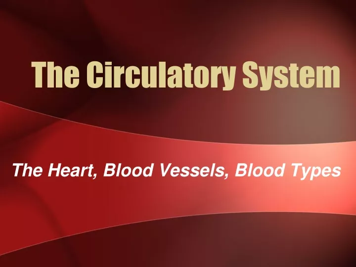 the circulatory system