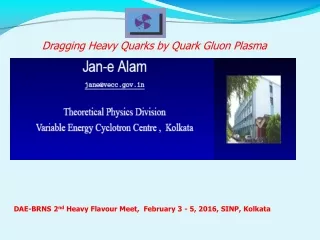 DAE-BRNS 2 nd  Heavy Flavour Meet,  February 3 - 5, 2016, SINP, Kolkata