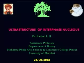 ULTRASTRUCTURE  OF INTERPHASE NUCLEOUS Dr. Rathod L. R. Assistance Professor Department of Botany