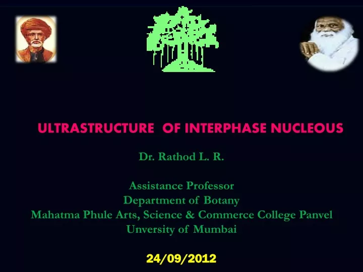 ultrastructure of interphase nucleous dr rathod