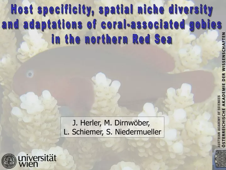 host specificity spatial niche diversity