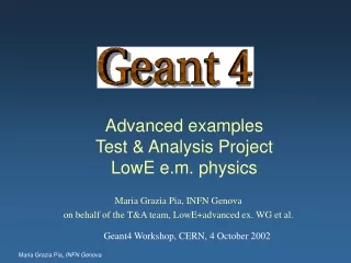 Advanced examples Test &amp; Analysis Project LowE e.m. physics