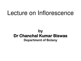 Lecture on Inflorescence by  Dr  Chanchal  Kumar  Biswas Department of Botany