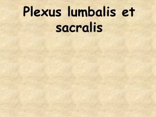 Plexus lumbalis et sacralis