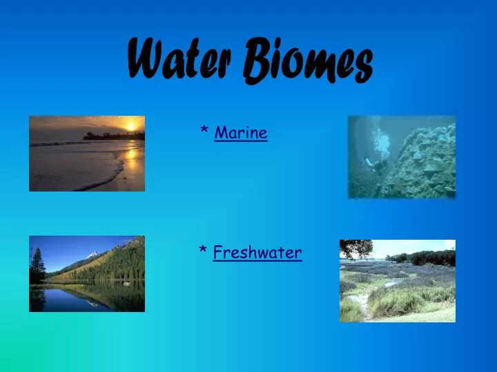 water biomes