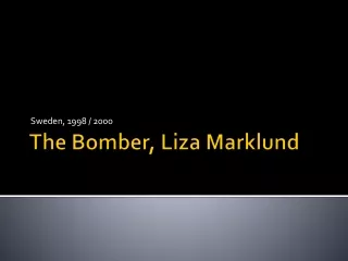 The Bomber, Liza  Marklund
