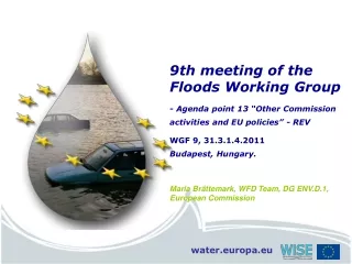 9th meeting of the Floods Working Group