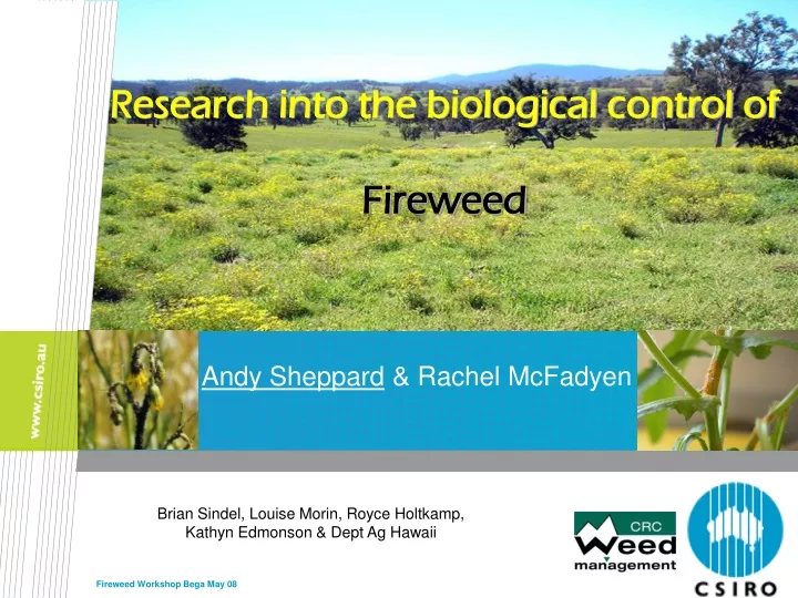 research into the biological control of fireweed
