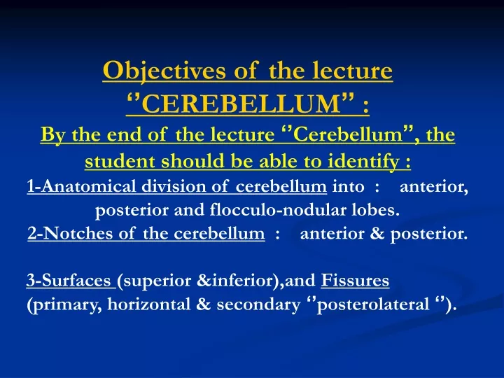 objectives of the lecture cerebellum