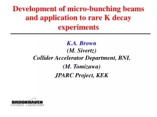 Development of micro-bunching beams and application to rare K decay experiments