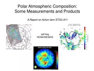 Polar Atmospheric Composition:  Some Measurements and Products A Report on Action item STG3-A11