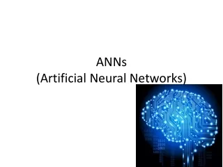 ANNs (Artificial Neural Networks)