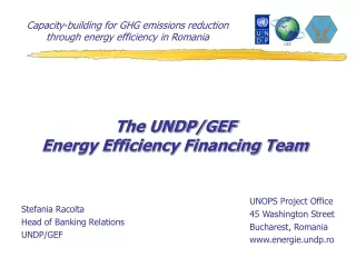 The UNDP/GEF Energy Efficiency Financing Team