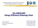 The UNDP/GEF Energy Efficiency Financing Team - slide 1